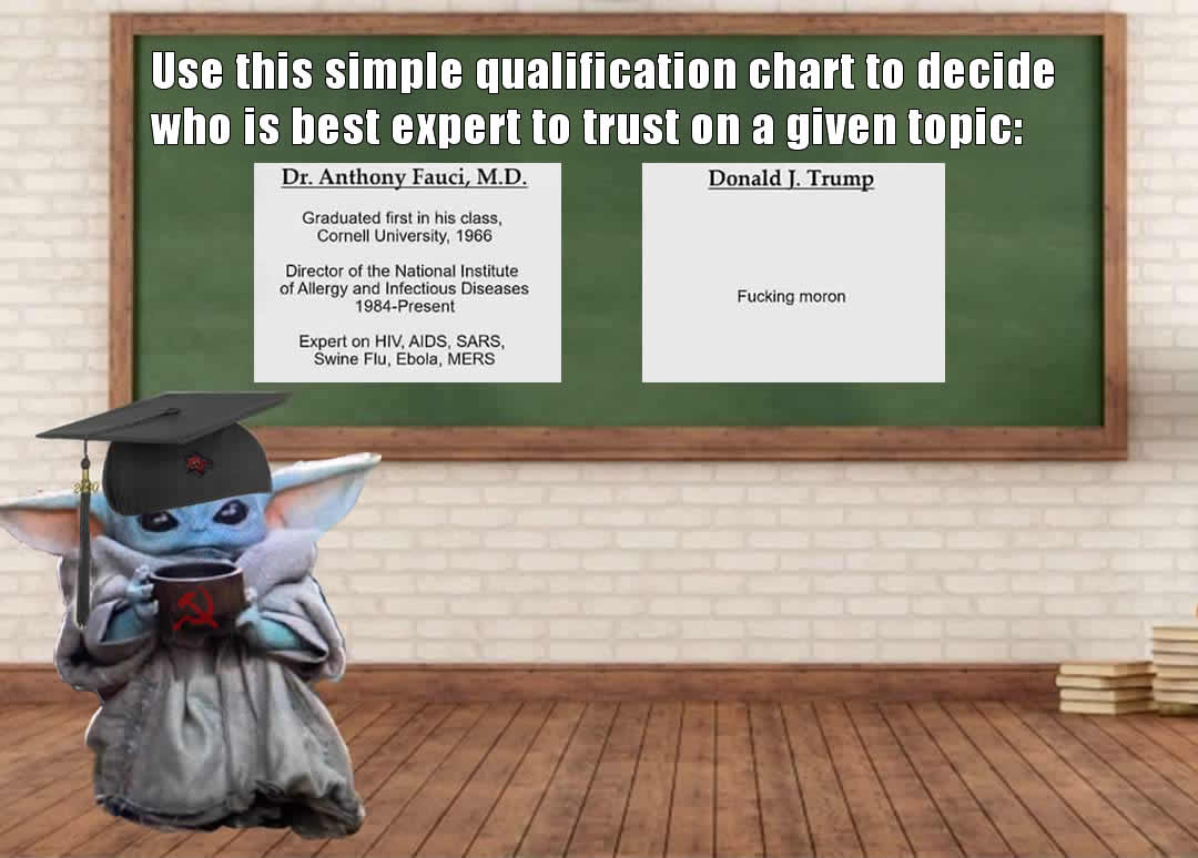 The meme is a humorous image of a character from the Star Wars franchise, Baby Yoda, dressed in a graduation cap and gown, holding a diploma and a cup of coffee. The text at the top of the image reads "Use this simple quiz to determine who is the most trustworthy expert on COVID-19: Dr. Anthony Fauci vs. Donald Trump". The image is a humorous commentary on the trustworthiness of experts on COVID-19, with a tongue-in-cheek quiz that pokes fun at the credibility of both figures.